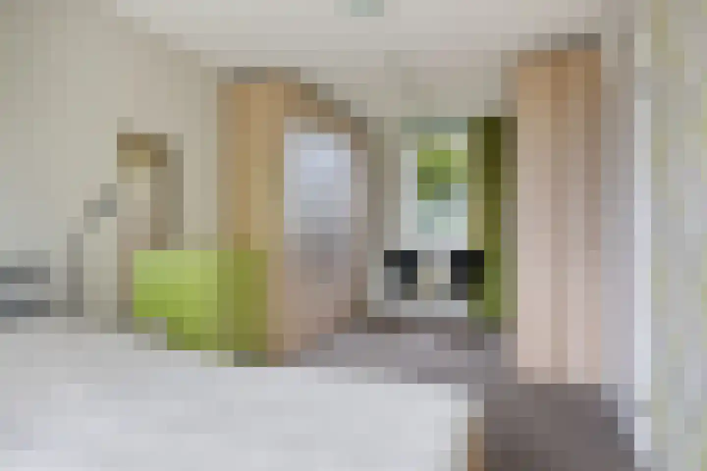 Gerbrandyhof 30 Etten-Leur thumbnail 22