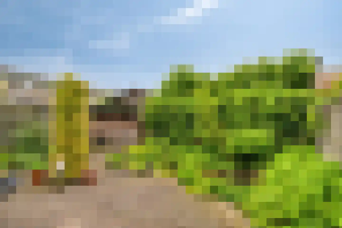 Gerbrandyhof 30 Etten-Leur thumbnail 36