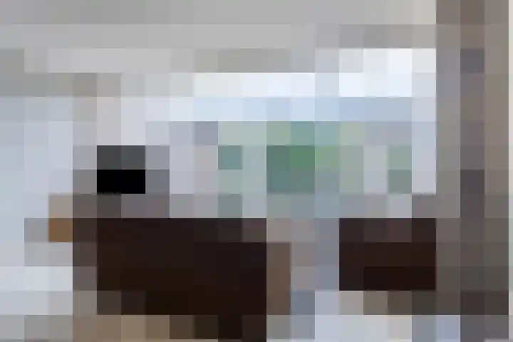 Gerbrandyhof 4 's-Hertogenbosch thumbnail 6