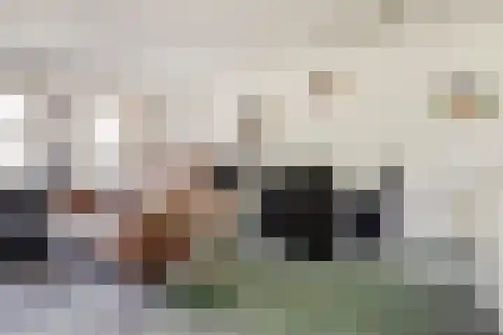 Gerbrandyhof 9 's-Hertogenbosch thumbnail 11