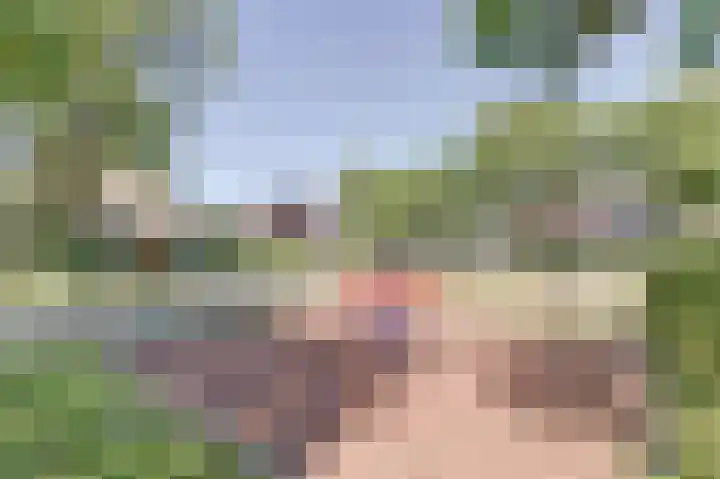 Gerbrandyhof 9 's-Hertogenbosch thumbnail 43
