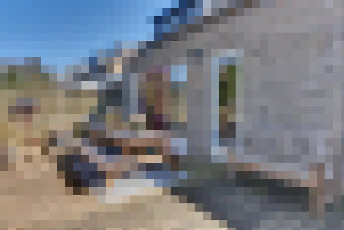 Gerbrandylaan 10 Harderwijk thumbnail 70