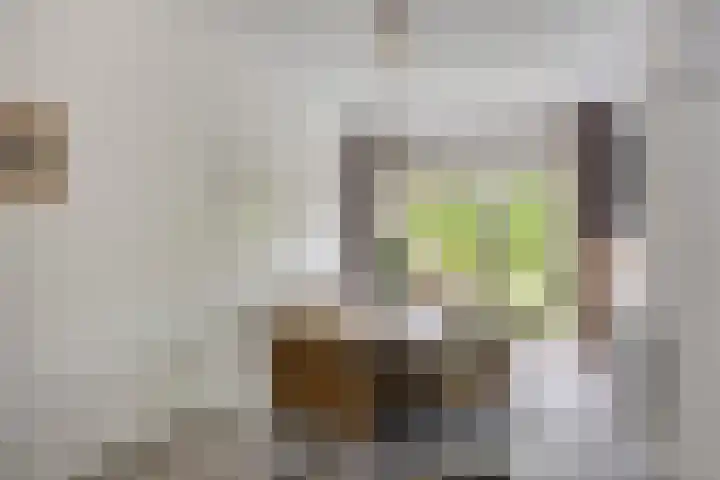 Gerbrandylaan 18 Harderwijk thumbnail 12