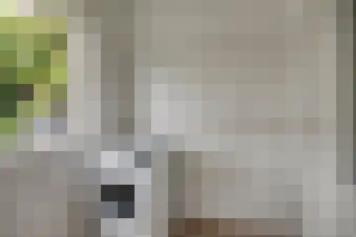 Gerbrandylaan 18 Harderwijk thumbnail 16