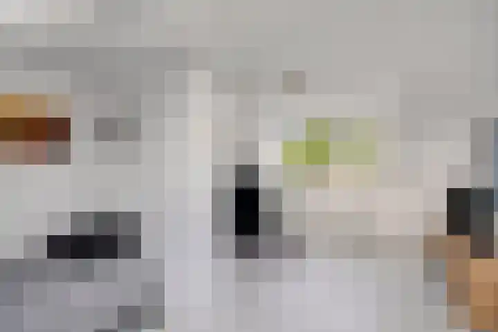 Gerbrandylaan 18 Harderwijk thumbnail 33