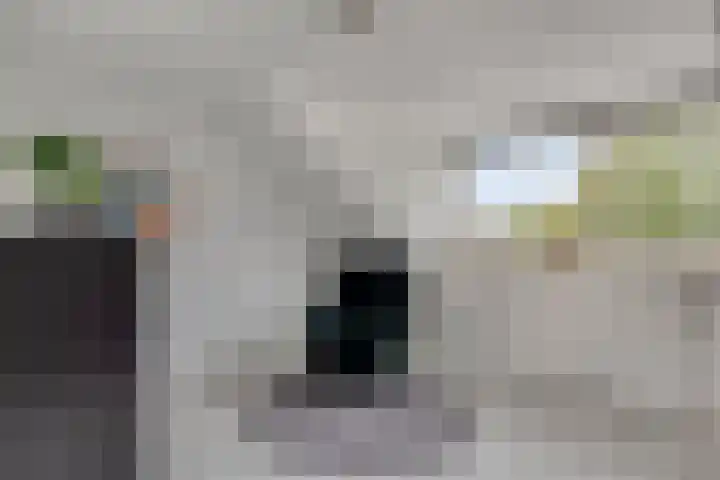 Gerbrandylaan 18 Harderwijk thumbnail 35