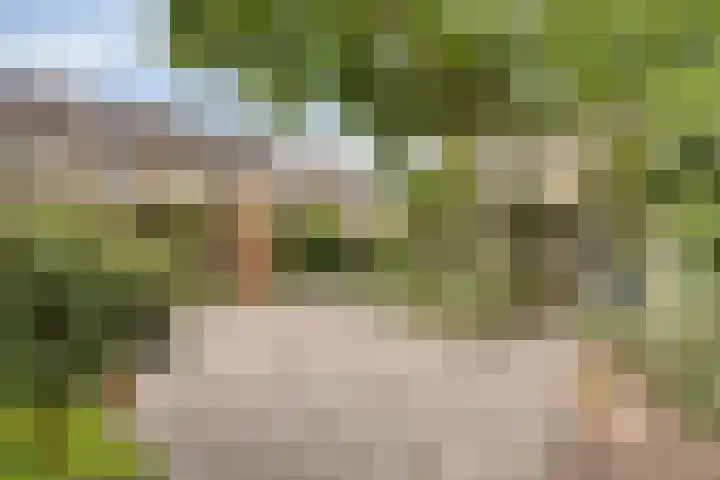 Gerbrandylaan 18 Harderwijk thumbnail 36