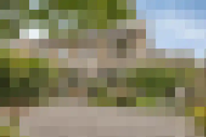 Gerbrandylaan 18 Harderwijk thumbnail 37
