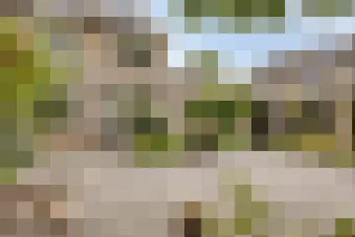Gerbrandylaan 18 Harderwijk thumbnail 38