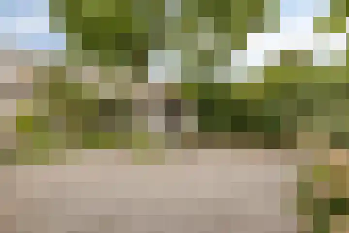 Gerbrandylaan 18 Harderwijk thumbnail 39