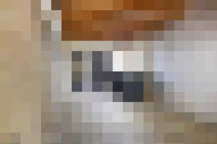 Gerbrandylaan 18 Harderwijk thumbnail 40