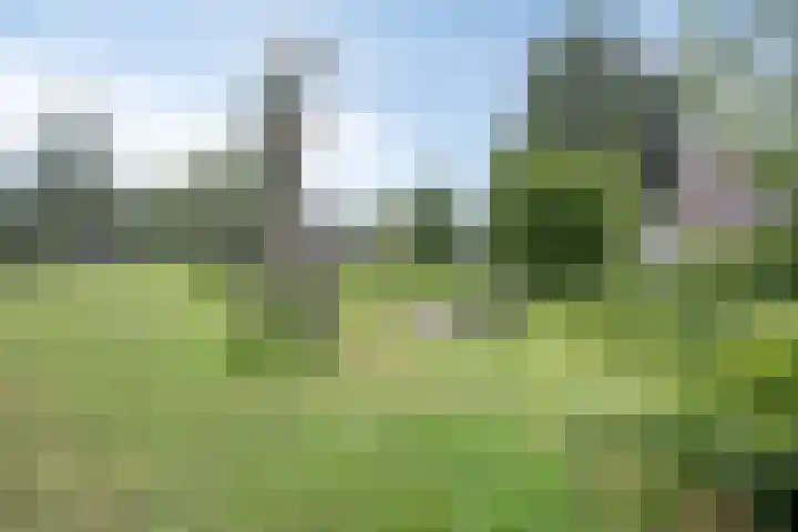 Gerbrandylaan 18 Harderwijk thumbnail 42