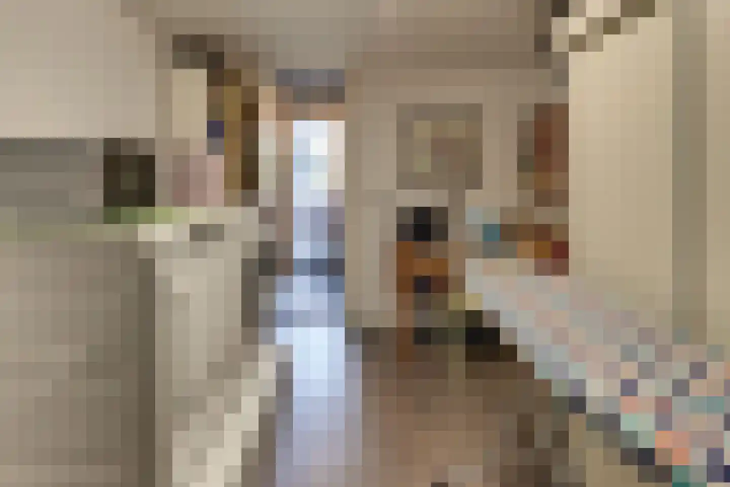 Gerbrandylaan 27 Harderwijk thumbnail 20
