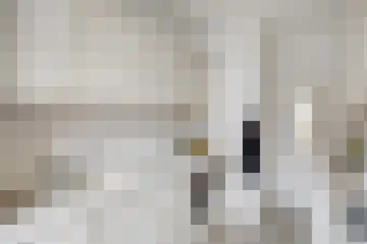 Gerbrandylaan 27 Oss thumbnail 10