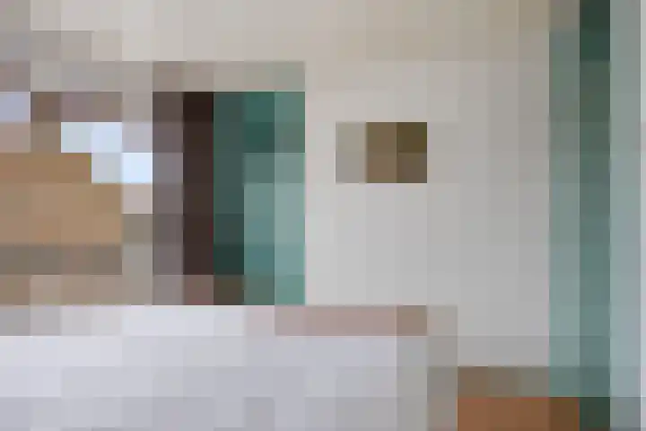 Gerbrandylaan 27 Oss thumbnail 14