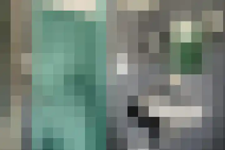 Gerbrandylaan 27 Oss thumbnail 16