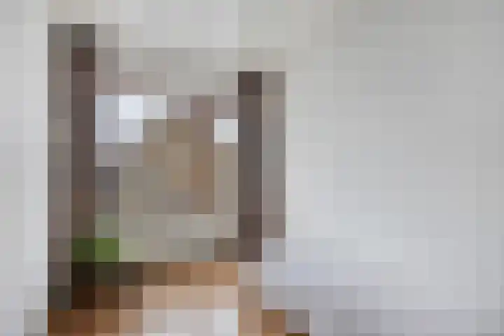 Gerbrandylaan 27 Oss thumbnail 17