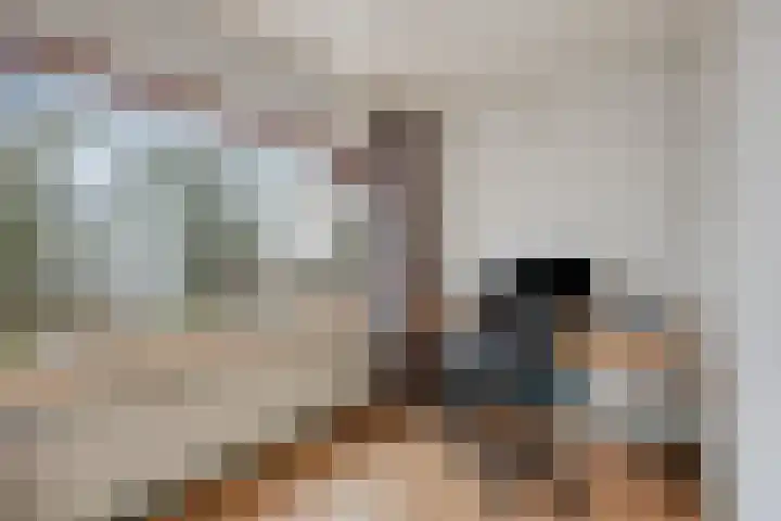 Gerbrandylaan 27 Oss thumbnail 19
