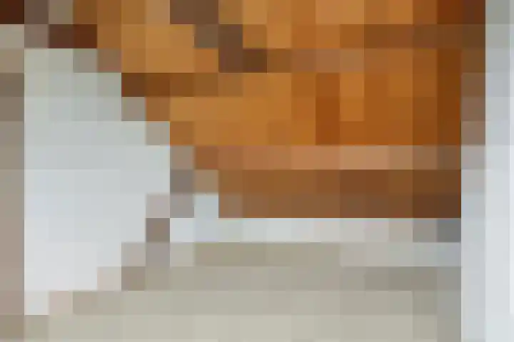 Gerbrandylaan 27 Oss thumbnail 23