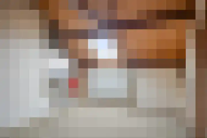 Gerbrandylaan 27 Oss thumbnail 24