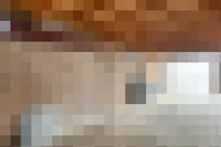 Gerbrandylaan 27 Oss thumbnail 29