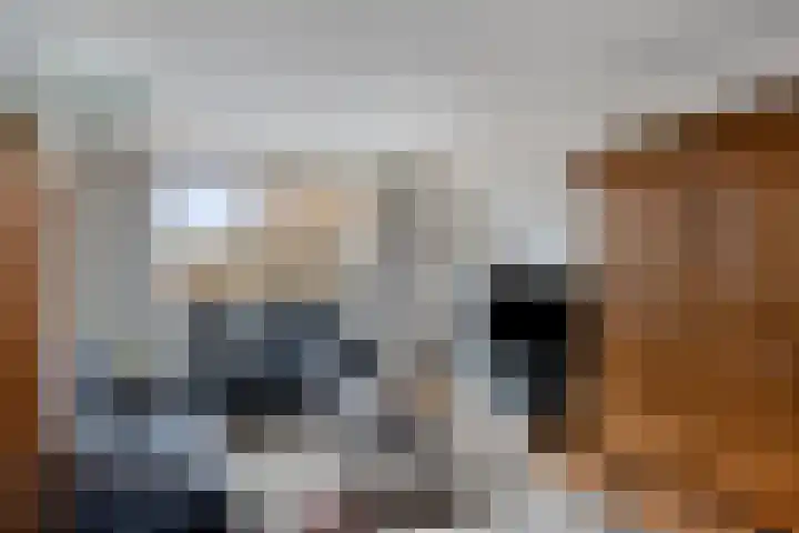 Gerbrandylaan 27 Oss thumbnail 8