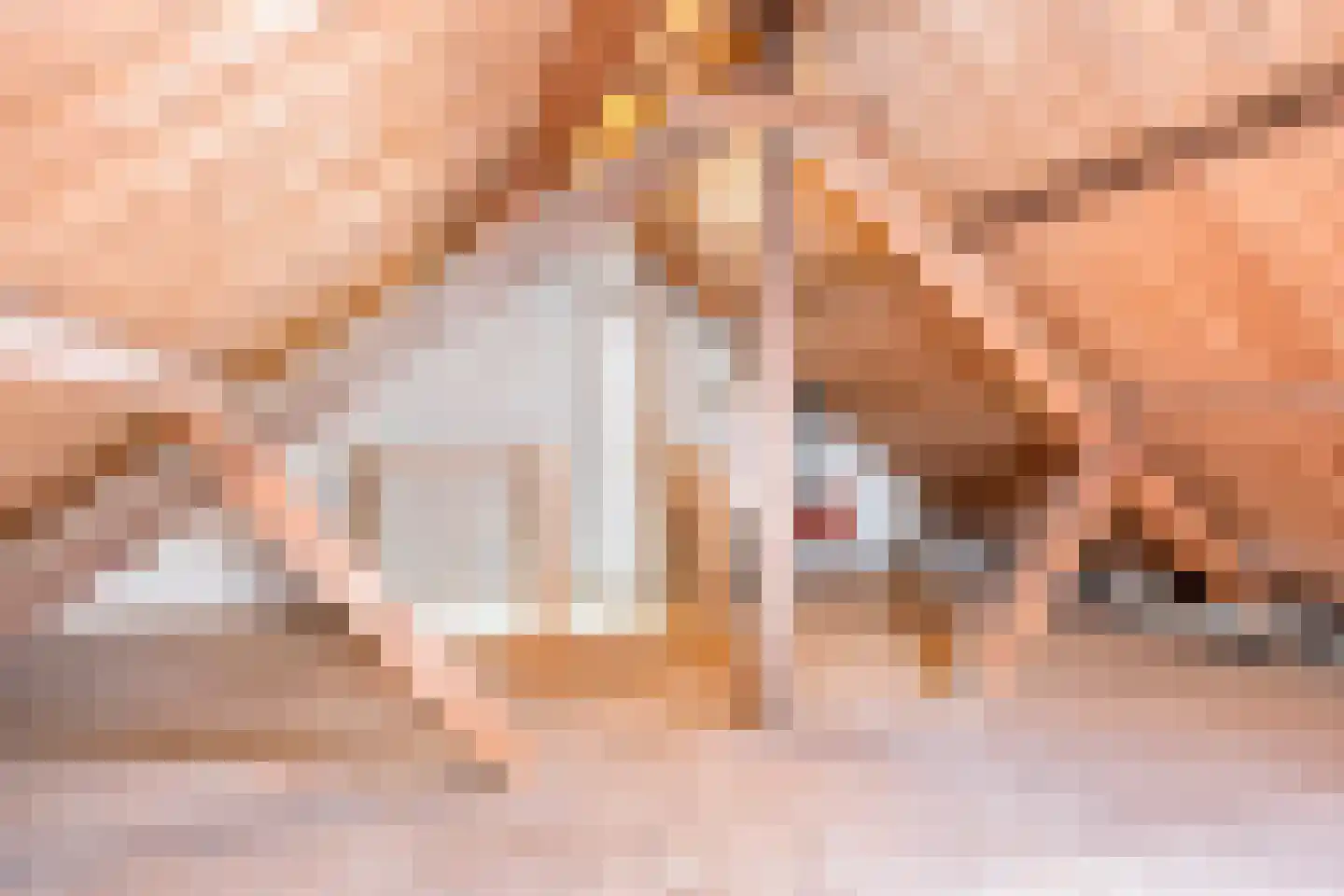 Gerbrandylaan 29 Oss thumbnail 22
