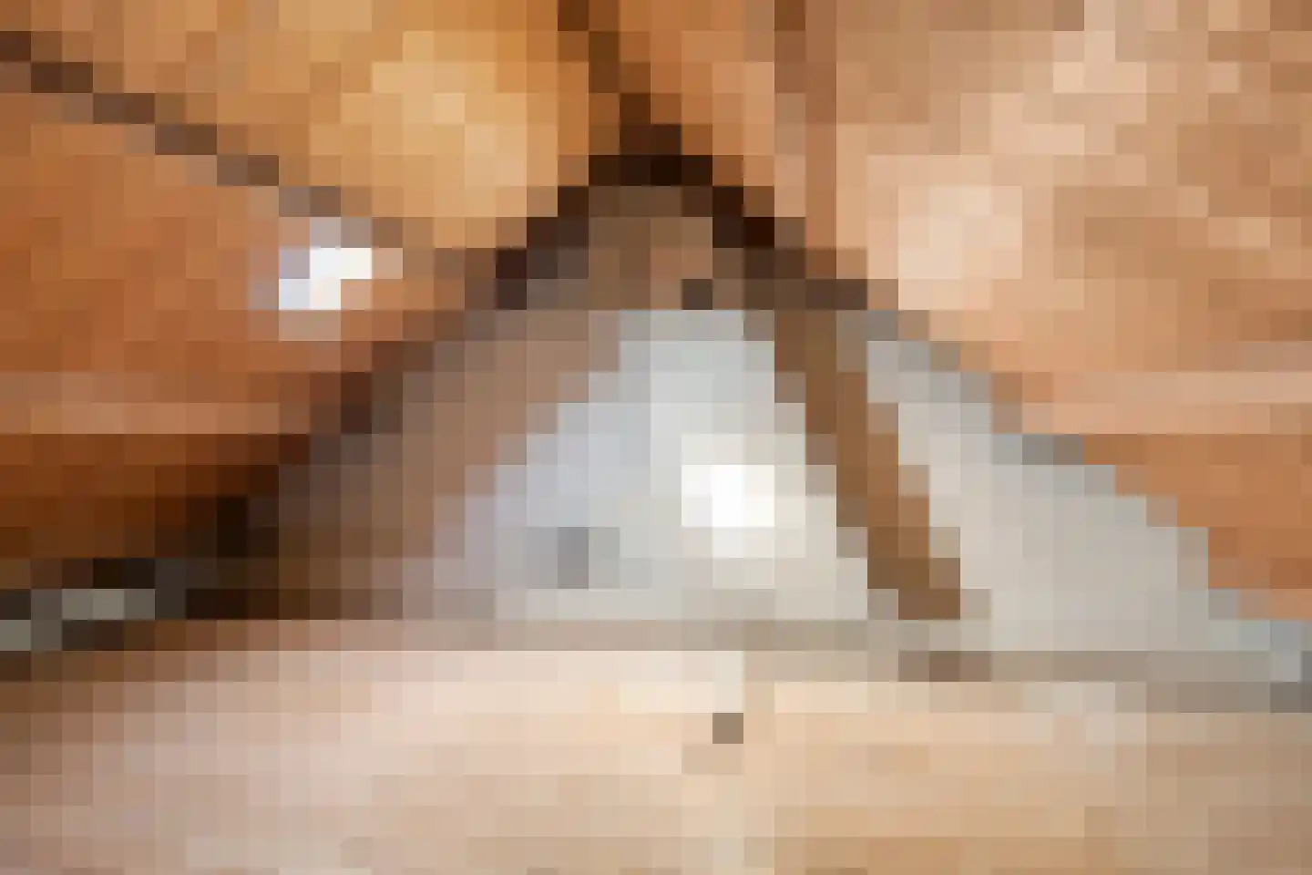Gerbrandylaan 29 Oss thumbnail 23
