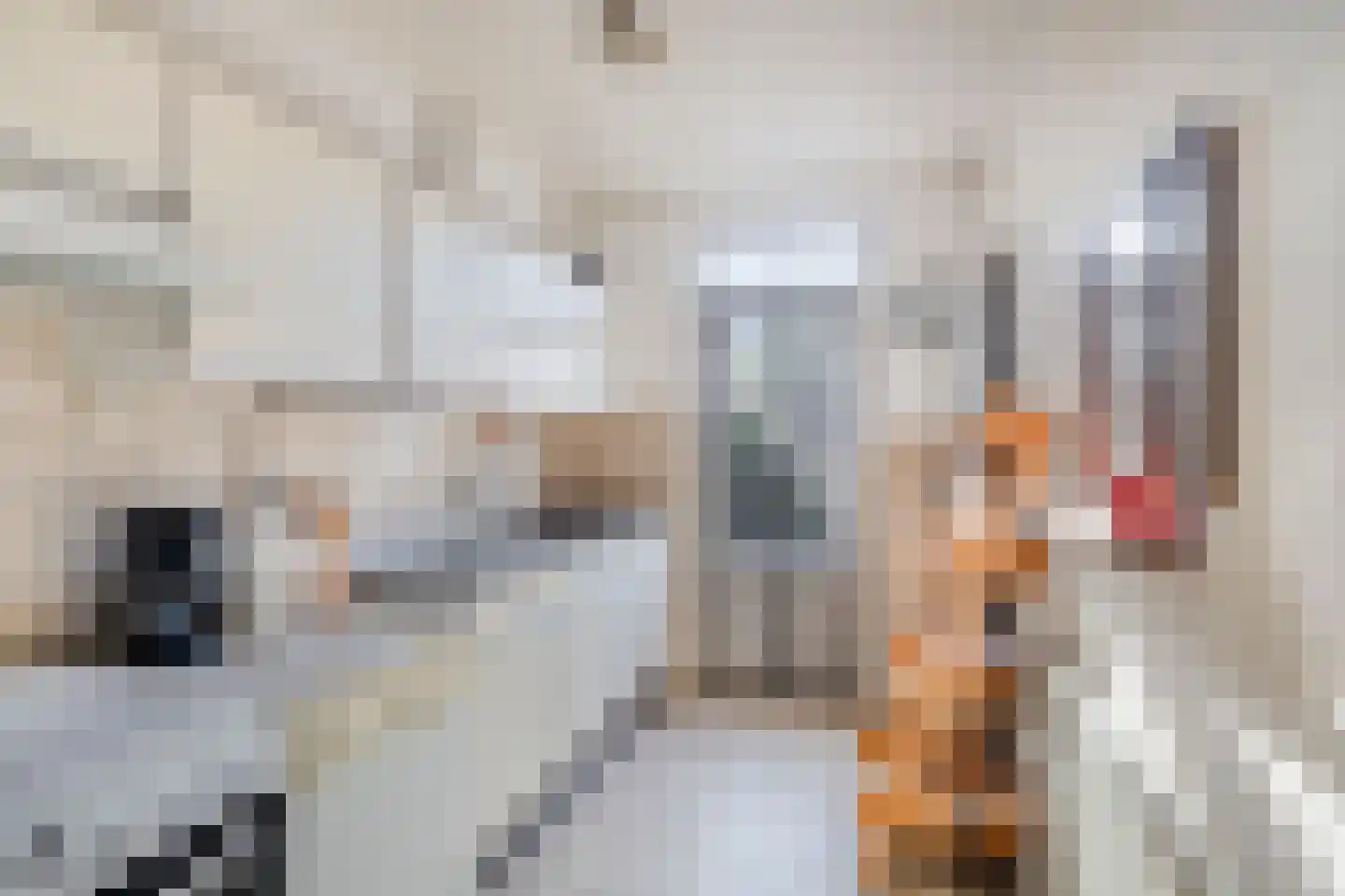 Gerbrandylaan 29 Oss thumbnail 7