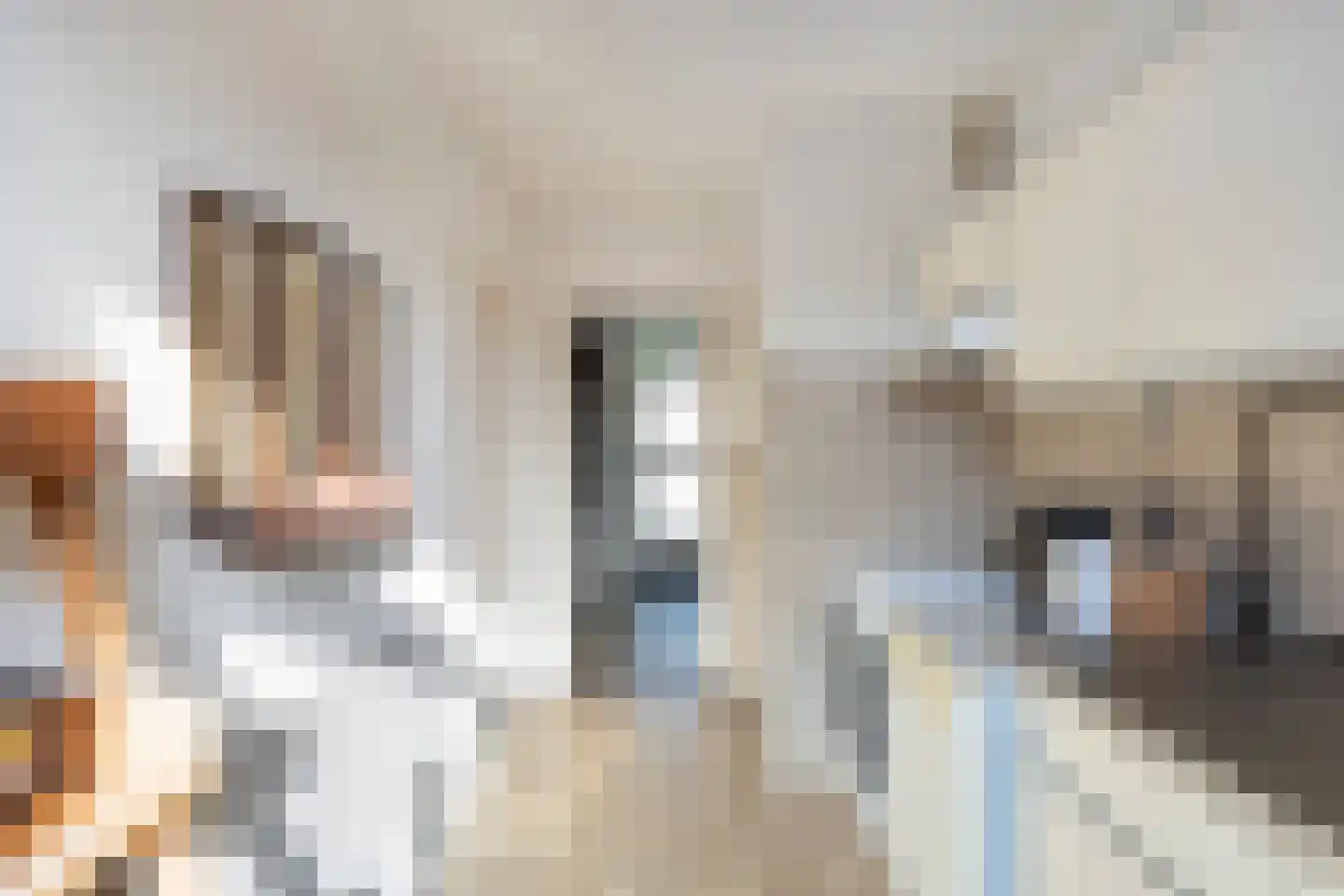 Gerbrandylaan 29 Oss thumbnail 8