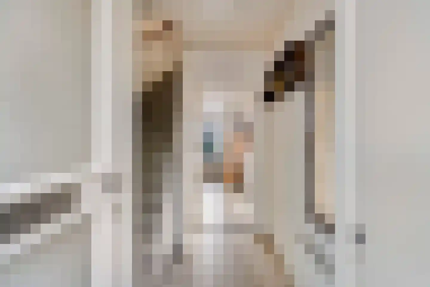 Gerbrandylaan 29 Oss thumbnail 9