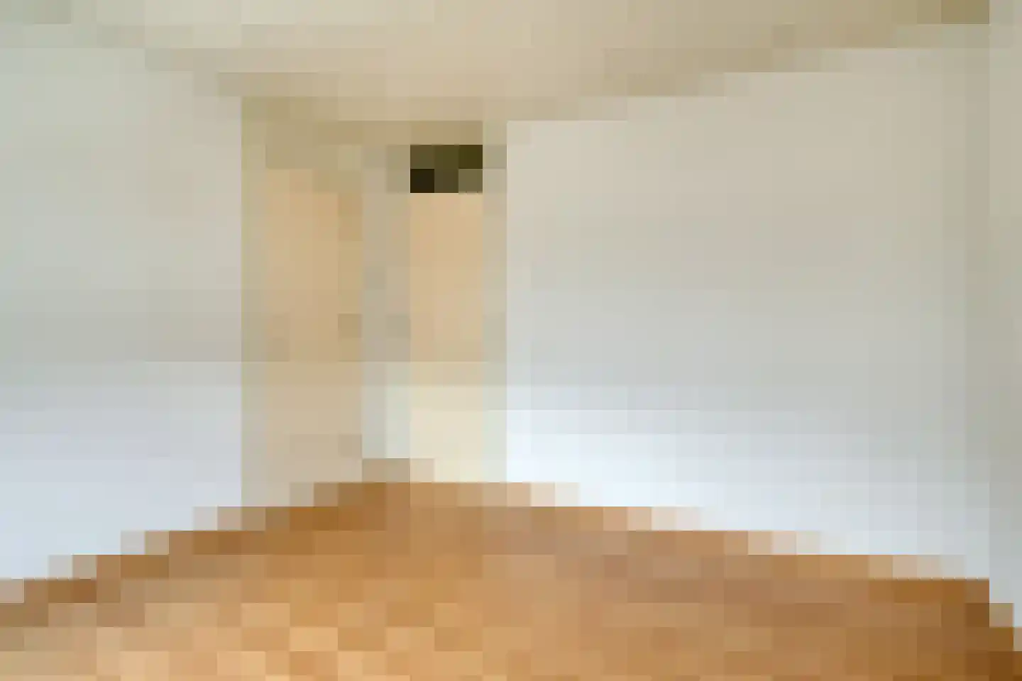 Gerbrandylaan 3 Oss thumbnail 21