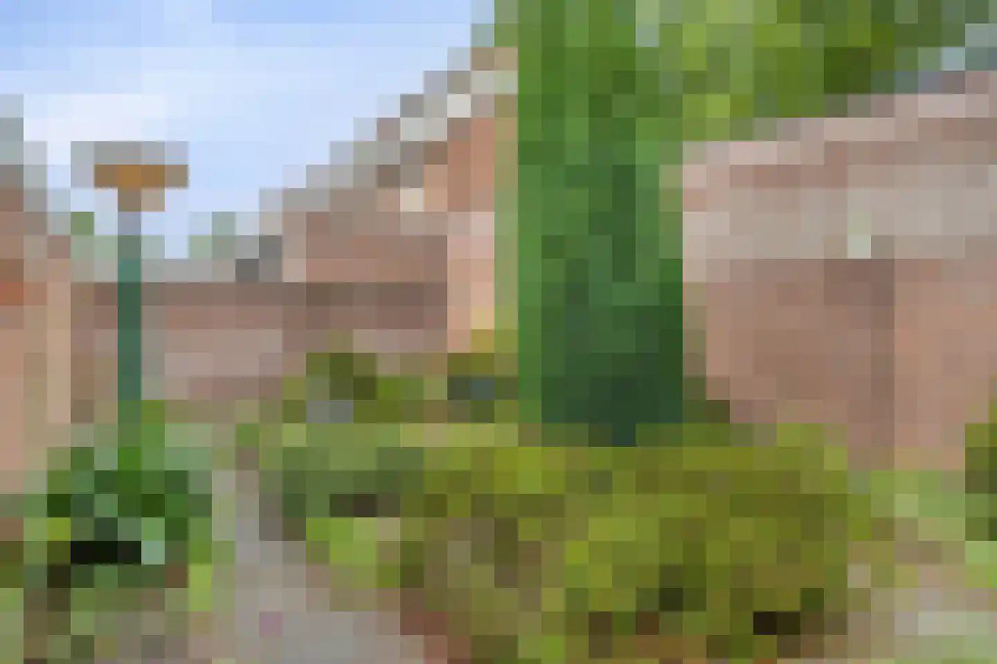 Gerbrandylaan 3 Oss thumbnail 30