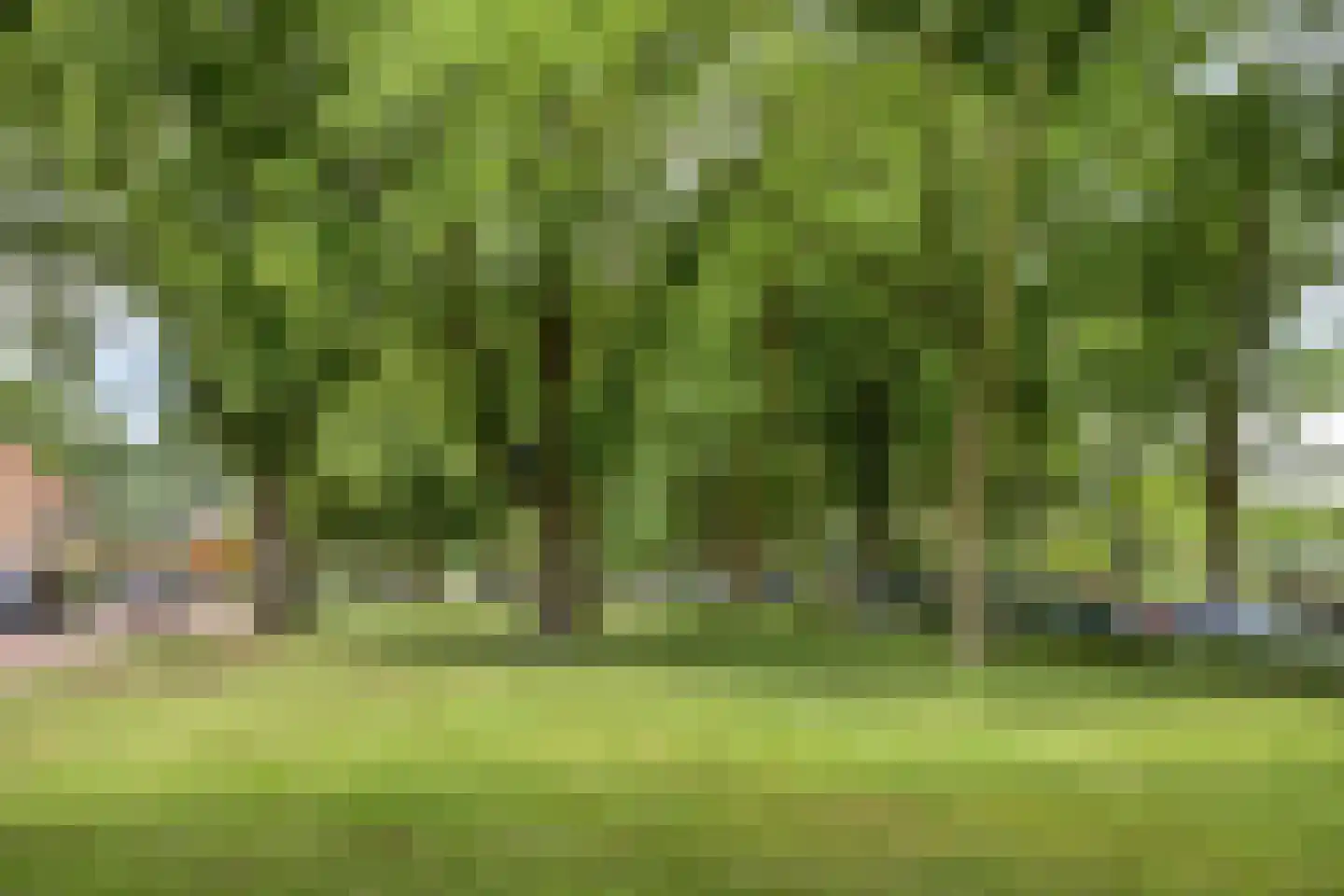 Gerbrandylaan 3 Oss thumbnail 36