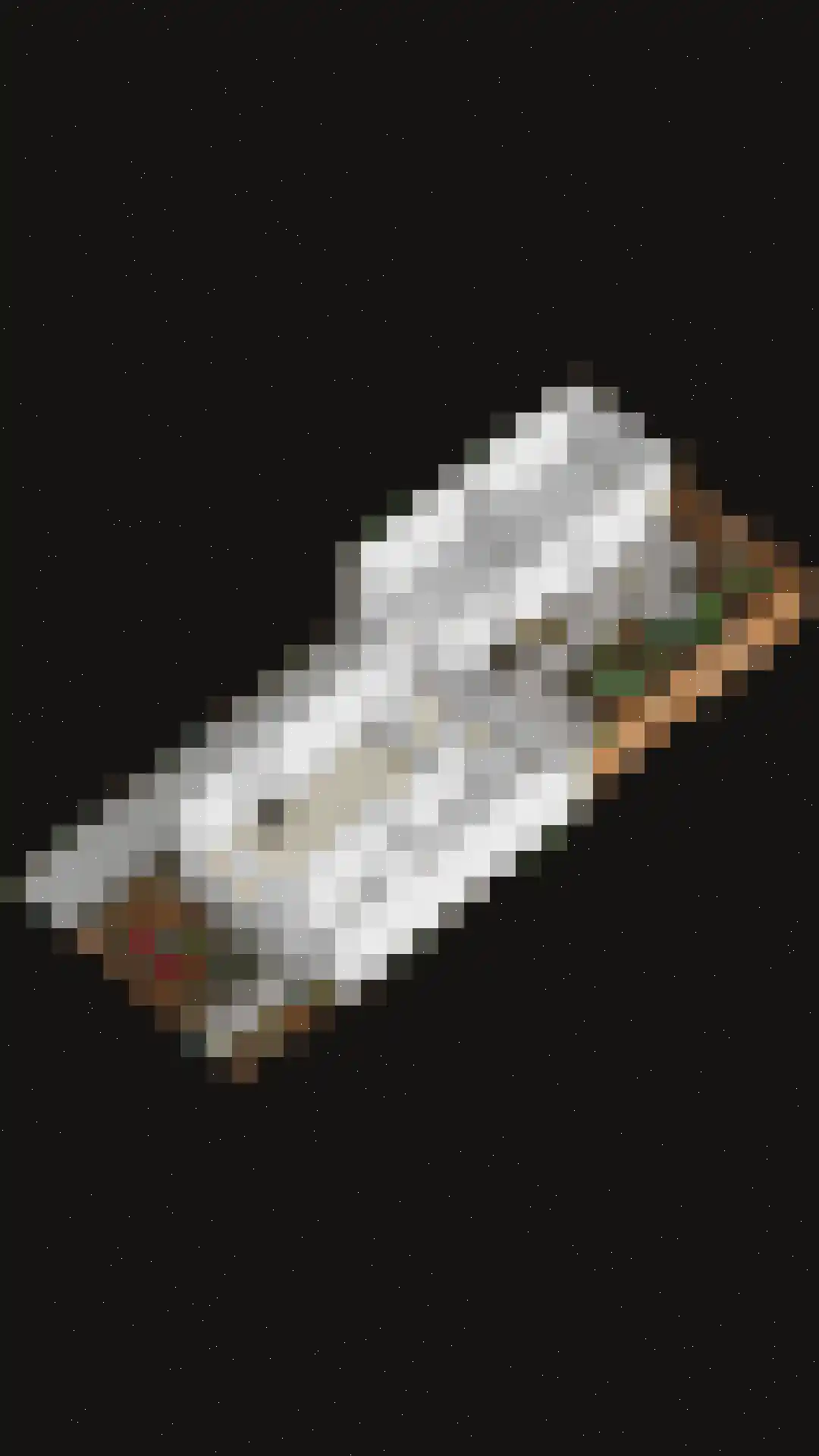 Gerbrandylaan 3 Oss thumbnail 39