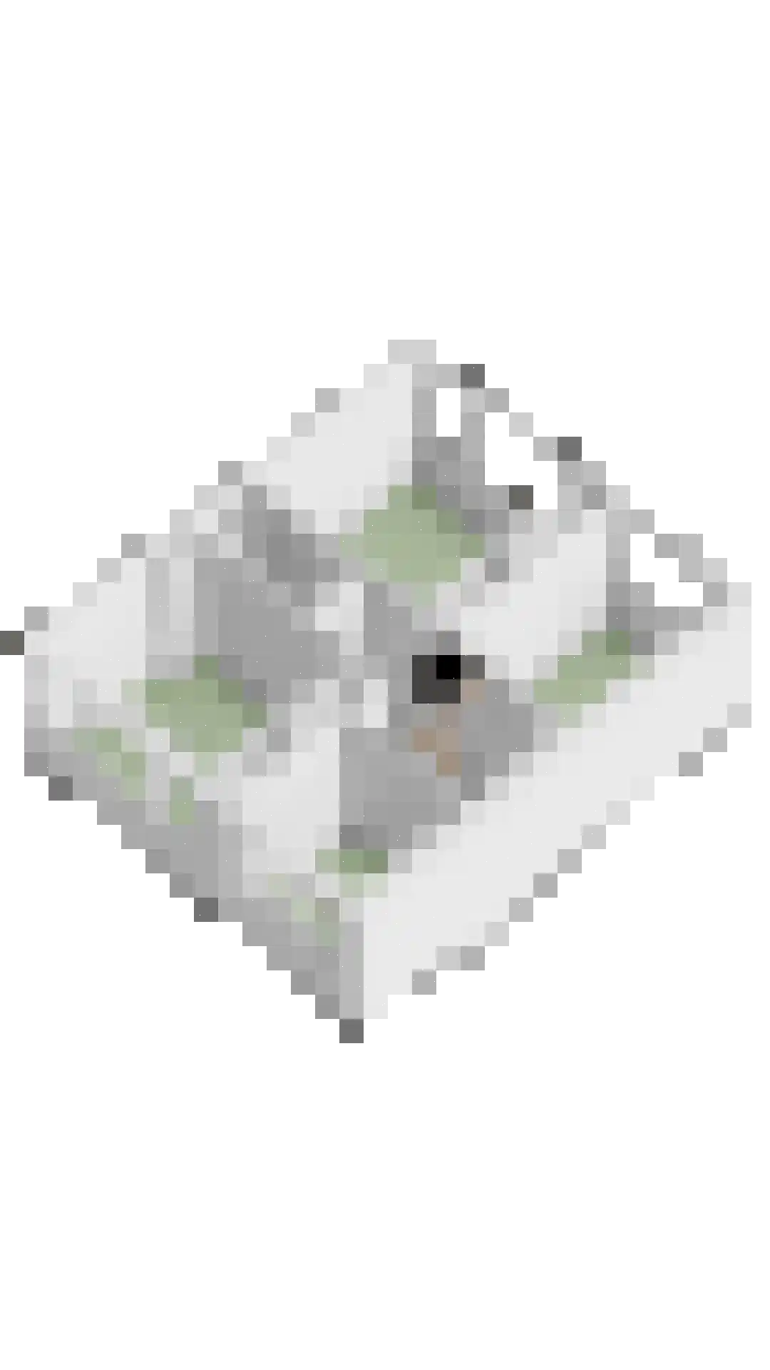Gerbrandylaan 3 Oss thumbnail 43