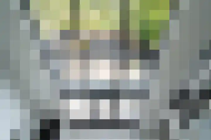 Gerbrandylaan 42 Leerdam thumbnail 17