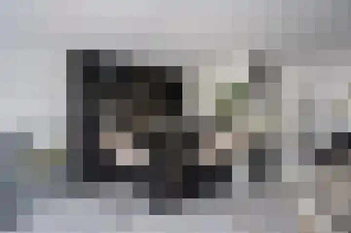 Gerbrandylaan 42 Leerdam thumbnail 20