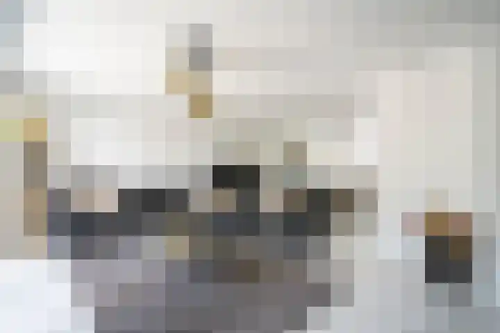 Gerbrandylaan 42 Leerdam thumbnail 23