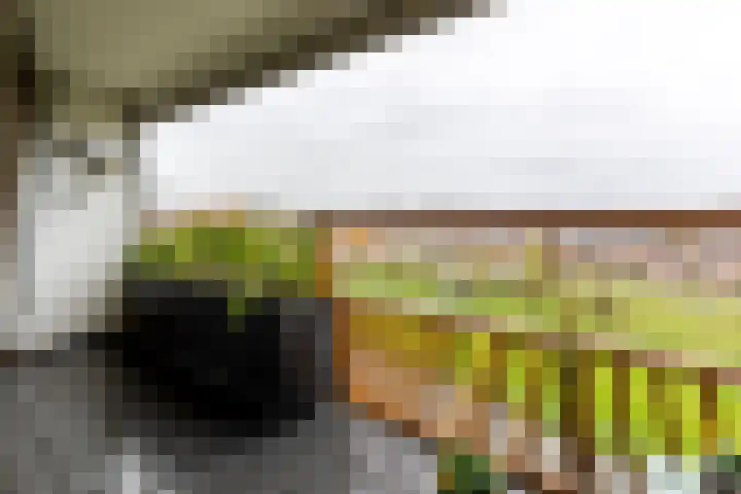 Gerbrandypark 78 Nieuwegein thumbnail 6