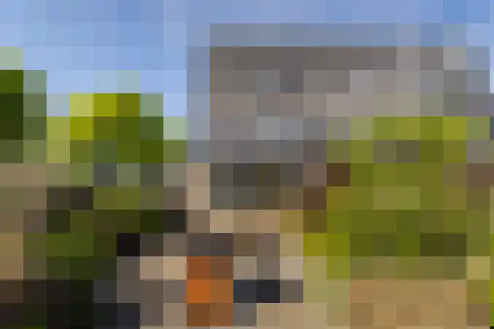 Gerbrandyplein 25 IJsselstein thumbnail 18