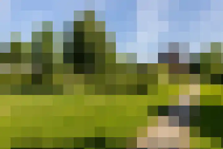 Gerbrandyplein 25 IJsselstein thumbnail 39