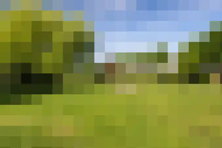Gerbrandyplein 25 IJsselstein thumbnail 40