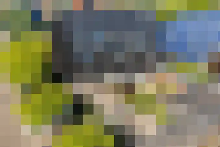 Gerbrandyplein 25 IJsselstein thumbnail 45