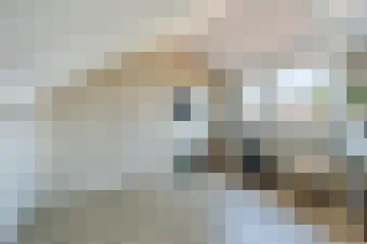 Gerbrandysingel 26 Bunschoten-Spakenburg thumbnail 37