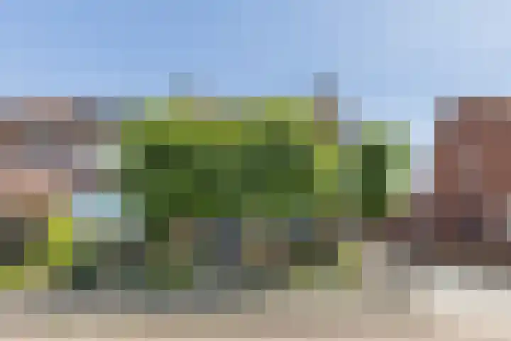 Gerbrandysingel 26 Bunschoten-Spakenburg thumbnail 50