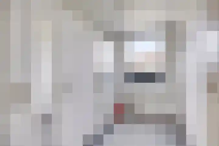 Gerbrandysingel 8 Bunschoten-Spakenburg thumbnail 21