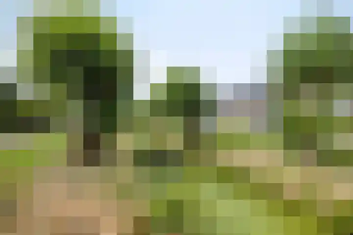 Gerbrandysingel 8 Bunschoten-Spakenburg thumbnail 36