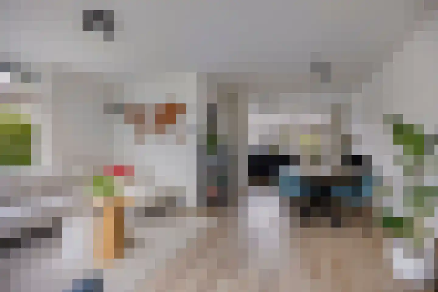 Gerbrandystraat 1 Zwolle thumbnail 4