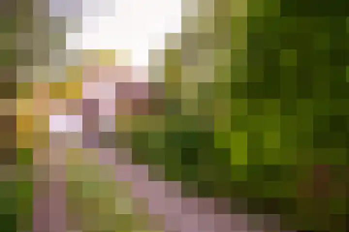 Gerbrandystraat 15 Nunspeet thumbnail 28